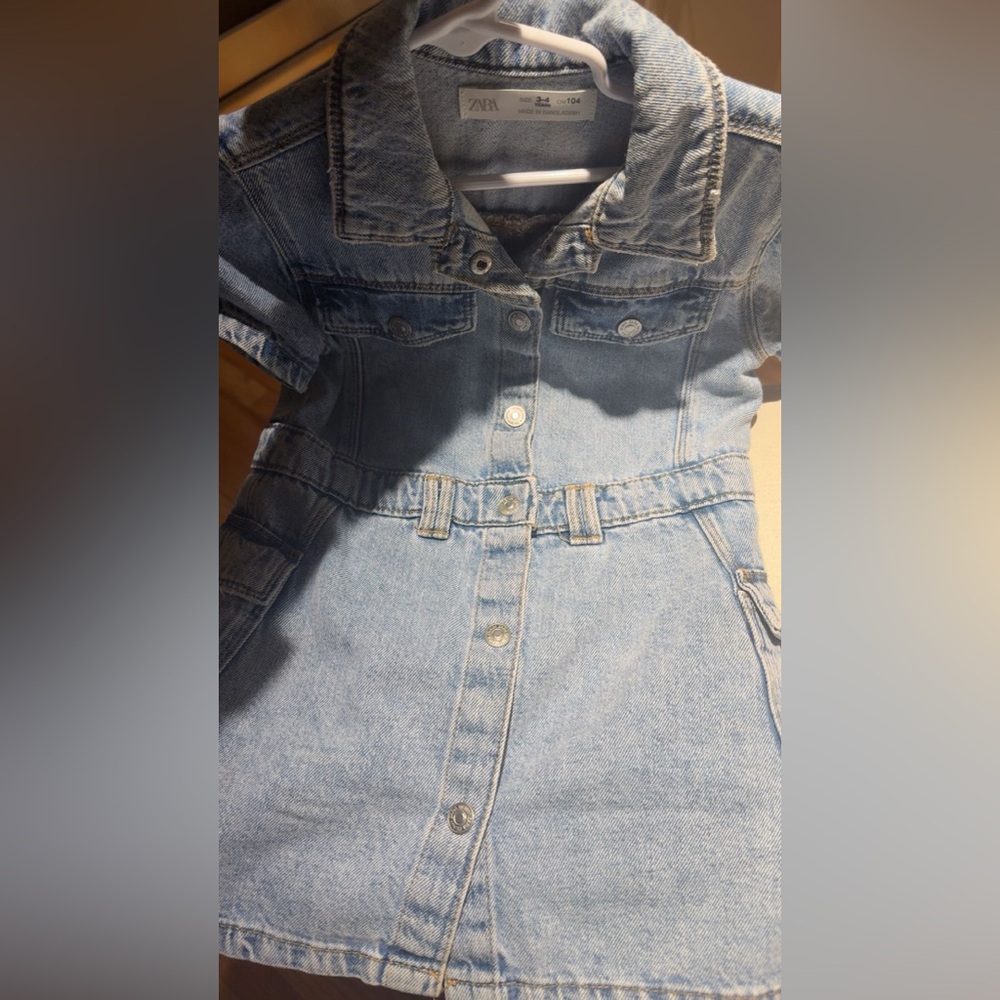 Zara Denim Button-Up Dress